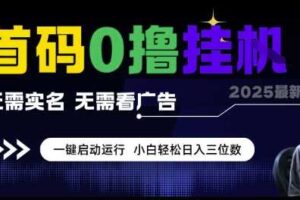 首码0撸挂G项目，无需实名无需看广告 一键启动运行，小白轻松日入三位数【揭秘】