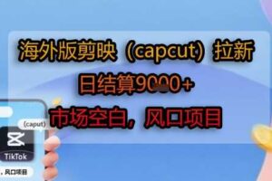 海外版剪映(capcut)拉新，日结算1k+，市场空白，风口项目