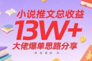 小说推文总收益13W+大佬爆单思路分享，常青树项目