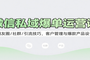 微信私域爆单运营课：朋友圈/社群/引流技巧，客户管理与爆款产品设计