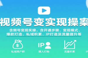 视频号变现实操，含开通步骤、变现模式、爆款打造、私域积累、IP打造及流量提升等