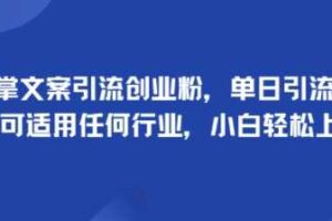 手掌文案引流创业粉，单日引流100+，可适用任何行业，小白轻松上手