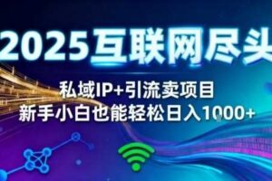 2025网创尽头王炸项目！私域IP+精准引流，新手小白在家躺賺日入1k，零经验也能上手【揭秘】