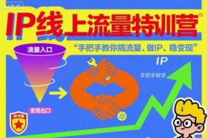 IP线上流量特训营,手把手教你搞流量、做IP、稳变现