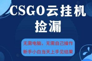 CSGO云挂G全自动捡漏，最新独家玩法，无需电脑操作，新手小白日入5张+【揭秘】