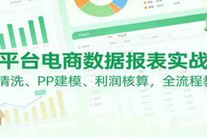 多平台电商数据报表实战课：PQ清洗、PP建模、 利润核算，全流程教学