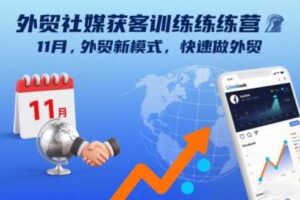 外贸社媒获客训练营11月，外贸新模式，快速做外贸