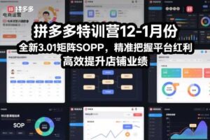 拼多多特训营12-1月份,全新3.01矩阵Sop,精准把握平台红利,高效提升店铺业绩
