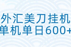 外汇美刀挂机:全自动挂机赚美金,单机600+