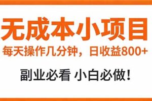 （17307期）无成本小项目 每天操作几分钟，真实日收益800+ 副业必看 小白必做！