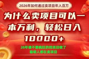 一单净利润1K+,26年想年入100个W,死磕卖项目就够了【揭秘】