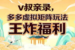 v叔亲录,多多虚拟矩阵玩法,王炸福利限时领取