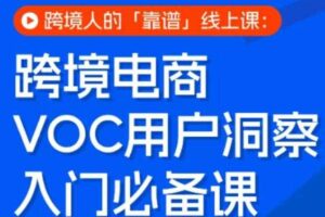 跨境电商VOC用户洞察入门必备课,跨境人的靠谱线上课