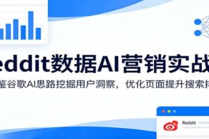 Reddit数据AI营销实战课:借鉴谷歌AI思路挖掘用户洞察,优化页面提升搜索排名