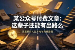 某公众号付费文章：这辈子还能有出路么