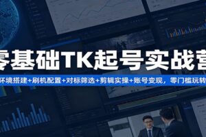 零基础TK起号实战营：环境搭建+ 刷机配置+对标筛选+剪辑实操+账号变现，零门槛玩转