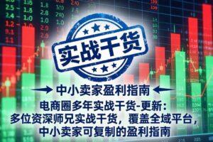 (18398期)电商圈多年实战干货-更新5月10:多位资深师兄实战干货/覆盖全域平台,中小卖家可复制的盈利指南