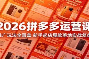 2026拼多多运营课：推广玩法全覆盖，新手起店爆款落地实战复盘