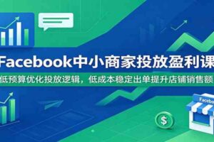 Facebook中小商家投放盈利课：低预算优化投放逻辑，低成本稳定出单提升店铺销售额