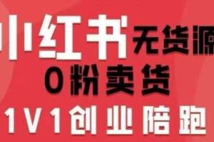 小红书无货源0粉电商课,开店准备、选品策略、笔记撰写、视频剪辑、数据分析、账号打造、资料文档(更新26年6月22日)