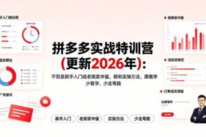 （19291期）拼多多实战特训营(更新2026年)：不管是新手入门或老商家冲量，都有实操方法，跟着学，少走弯路