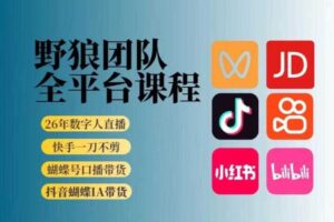 野狼团队2026新版全平台短视频带货教学,打开流量突破口,开始Ai带货(更新0709)