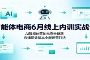 智能体电商6月线上内训实战课：AI智能体落地电商全链路，店铺提效降本全新运营打法