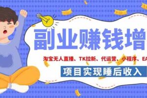 （19654期）2026年多个真实落地副业项目，手把手带你搭建被动收入管道（淘宝无人直播、海外TK拉新…