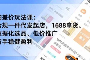 （19674期）淘差价玩法课：合规一件代发起店，1688拿货、数据化选品、低价推广，新手稳健盈利(更新7月)
