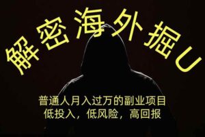 （19841期）解密海外掘U，普通人月入过万的副业项目，低投入、低风险高回报，没有之一