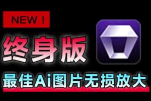 Win/Mac双端支持！最新永久终身版，支持老照片修复，图片变清晰无损放大工具，Aiarty Image Enhancer