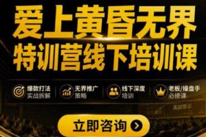 爱上黄昏无界特训营AI推广实战7月27-30杭州线下课，AI落地淘宝最完整的课程，学天猫淘宝的老板必看