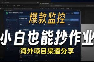 抖音爆款数据监控工具_海外网盘拉新渠道