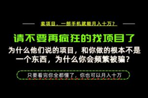 为什么做项目的人大多都是炮灰？为什么只有卖项目才能稳？看完你也可以月入10W+【揭秘】