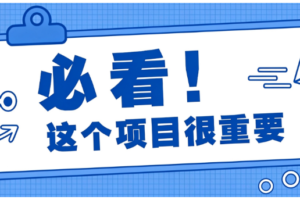 壁纸号新玩法拆解,低成本手机就能操作,有人靠这套玩法轻松做到月入万元